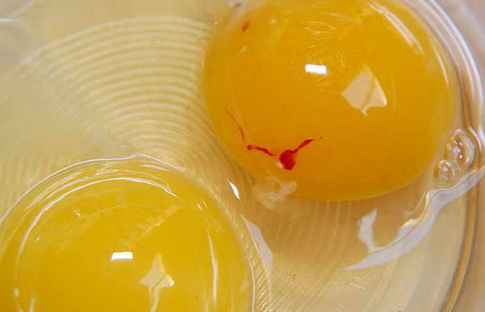 Можно ли есть яйцо с красным на желтке