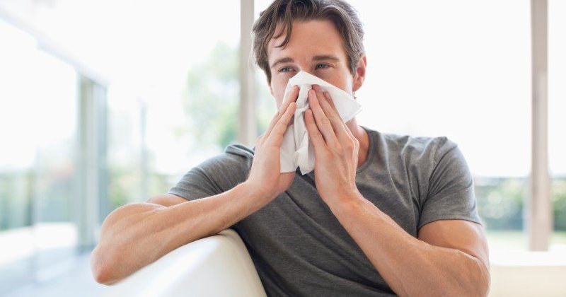 Самые необычные аллергены, с которыми может столкнуться человек