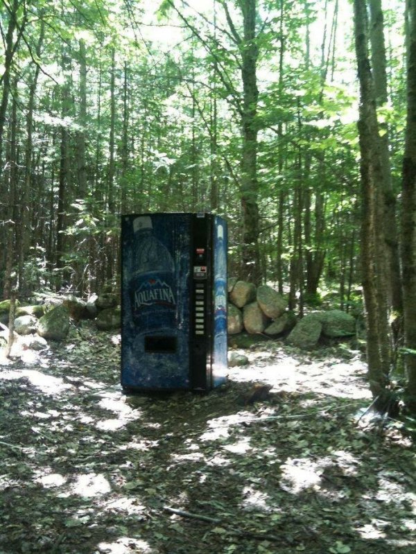 Загадочные находки, которые люди случайно сделали в лесу