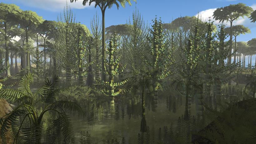 Как выглядели леса нашей планеты в период карбона