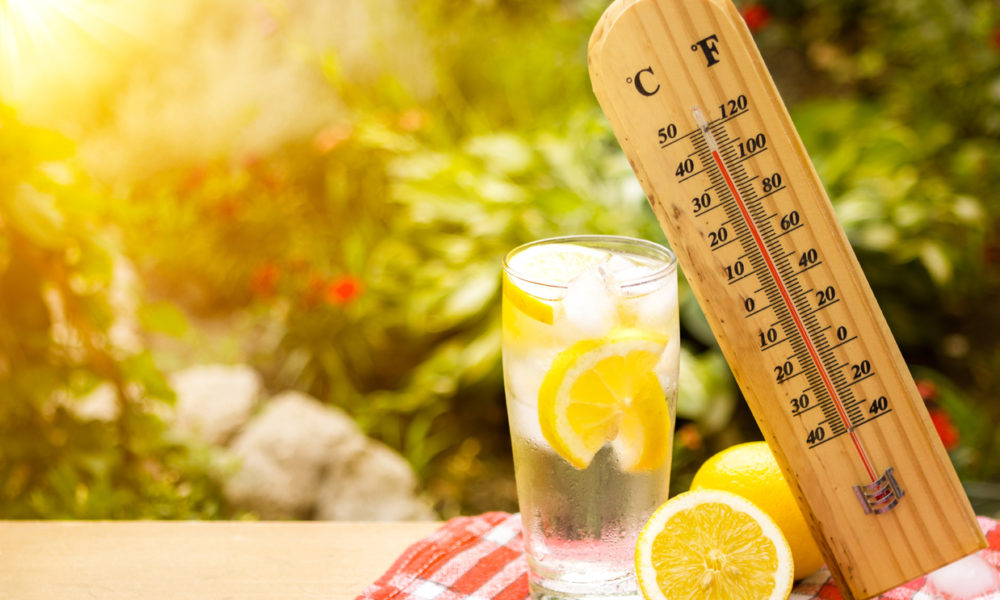 Важные правила питания в жаркую погоду
