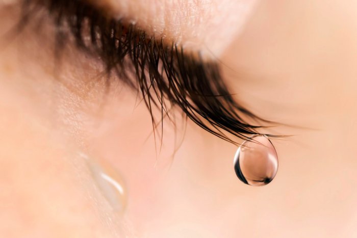 Почему слезы имеют солоноватый привкус