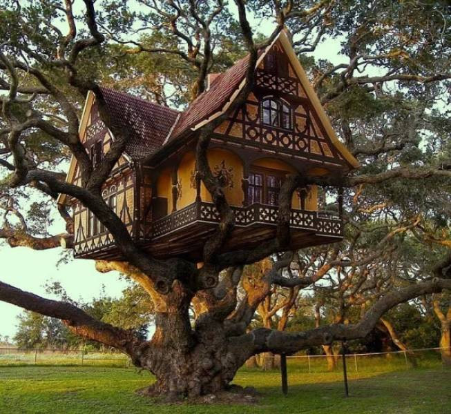 Разные домики на деревьях — мечта детства