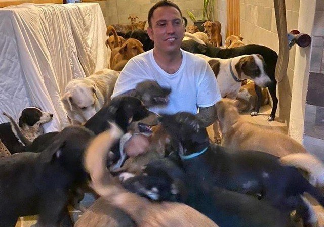 Работник мексиканского приюта спас от урагана 300 кошек и собак