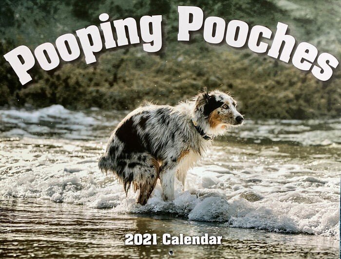 Юмористический календарь с какающими собаками на 2021 год