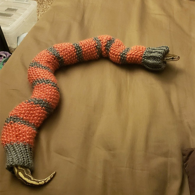 Змеи в вязаных свитерах на снимках