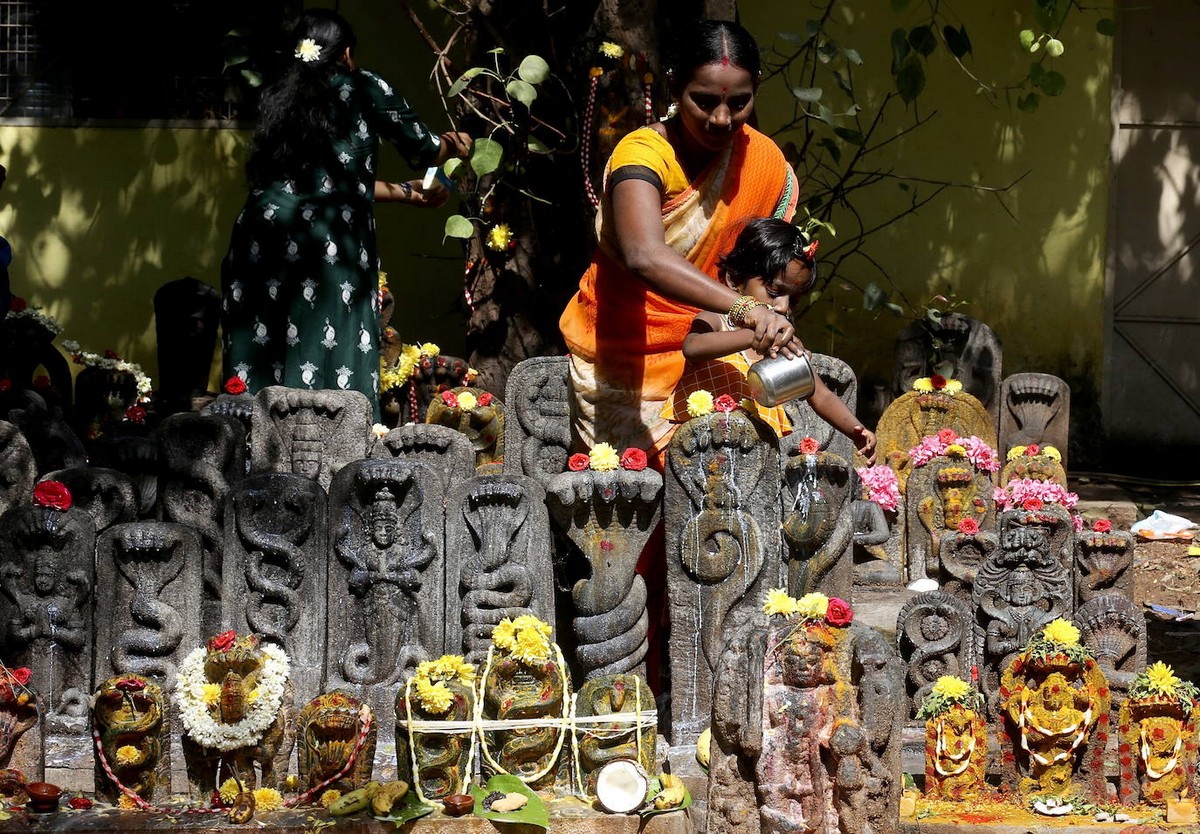 Подношения и поклонение змеям на праздник в Бангалоре