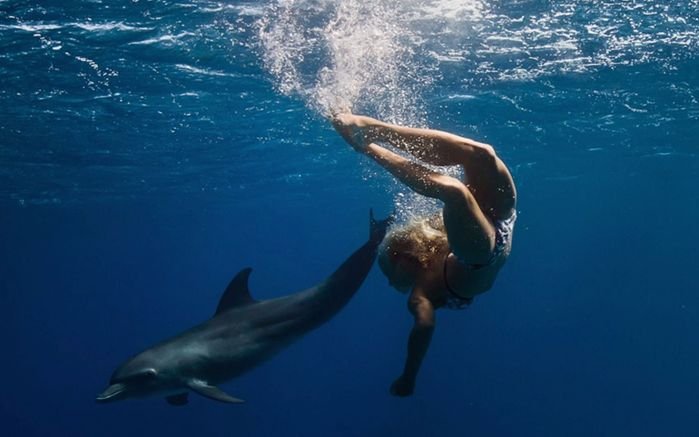Для чего дельфины «спасают» тонущего человека на самом деле