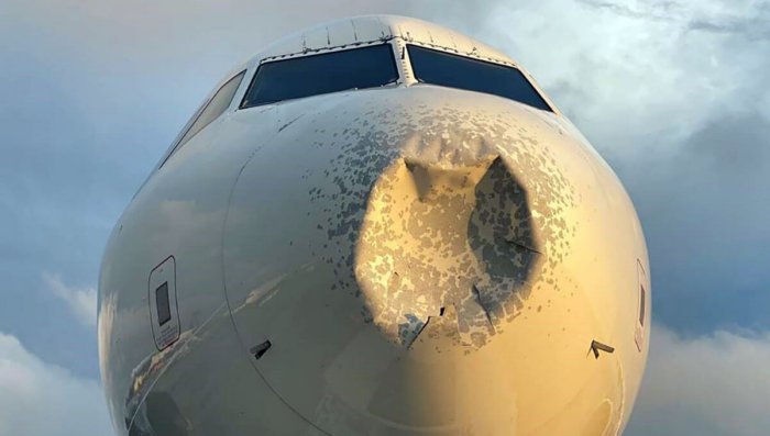 Три трагичных столкновения самолетов с птицами в истории