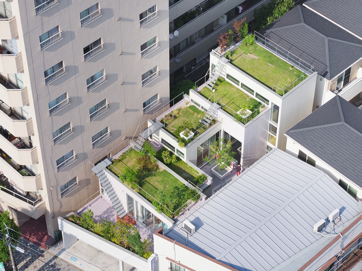Городской дом с садом на крыше в Японии