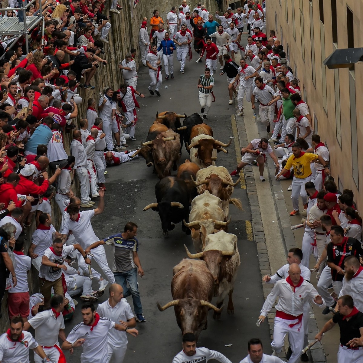 Первый забег быков на фестивале Сан-Фермин в Испании