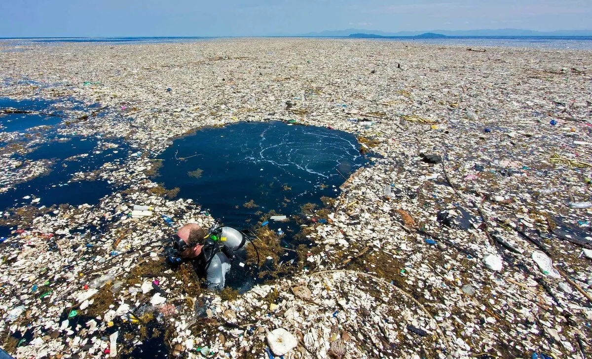 Почему нельзя просто так взять и убрать весь пластик из океана?