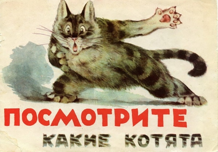 Забавная классификация котят от советского художника