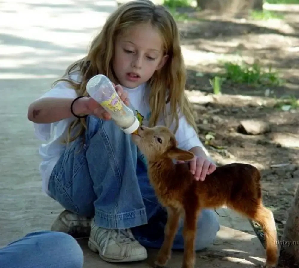 Дети и животные — дружба навсегда