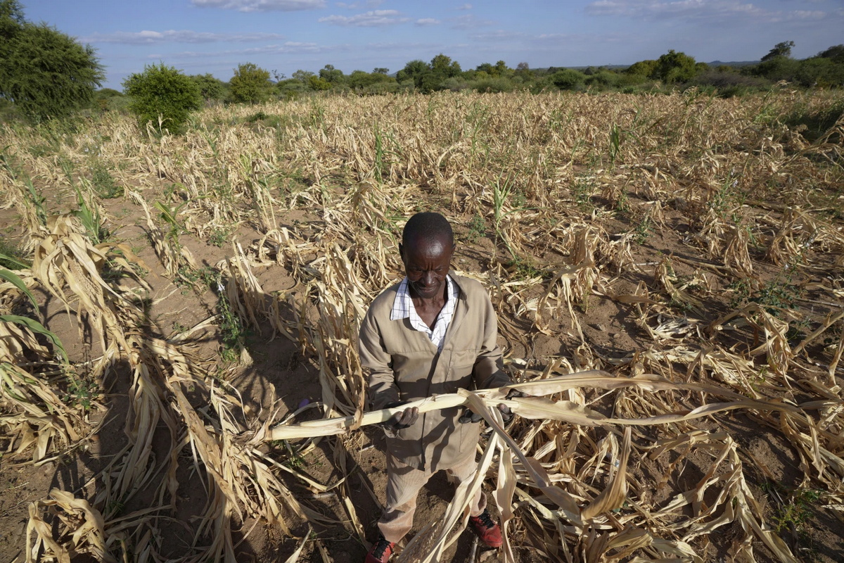 Из-за засухи на юге Африки около 20 миллионов человек оказались на грани голода